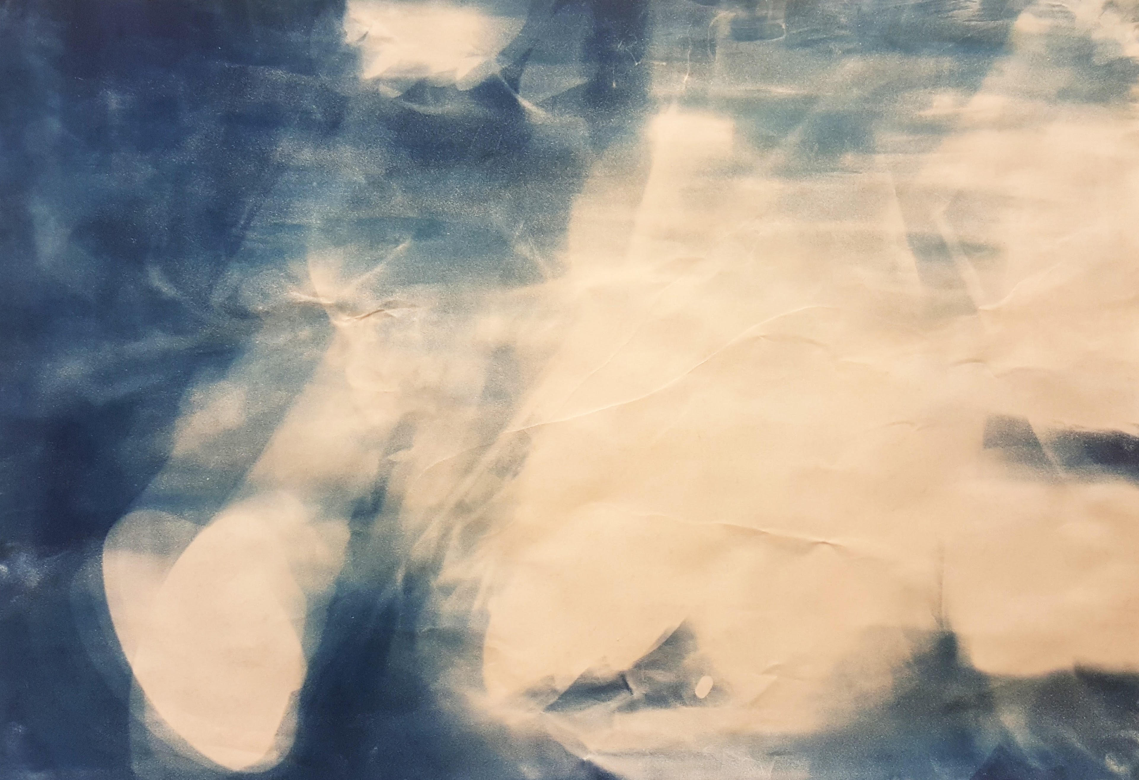 Cyanotype3